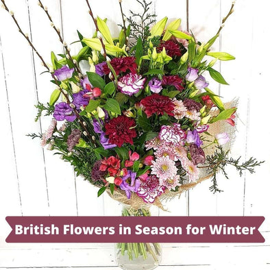 British Flowers in Season for Winter