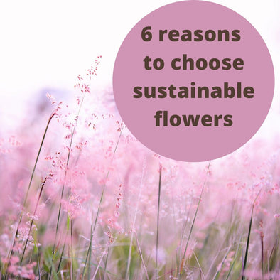 6 reasons to choose sustainable flowers