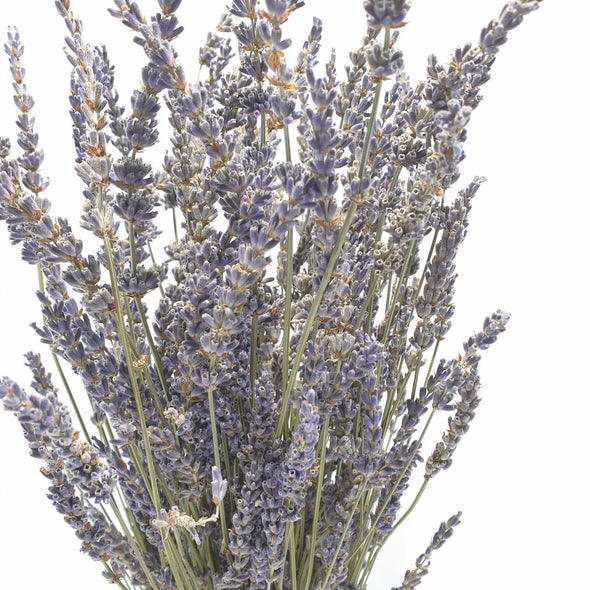 Dried Lavender
