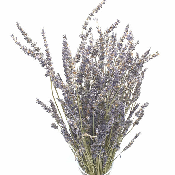 Dried Lavender