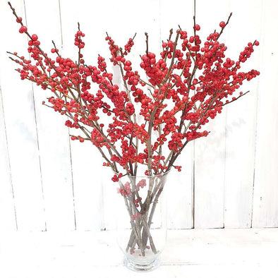 Red Berries Delight