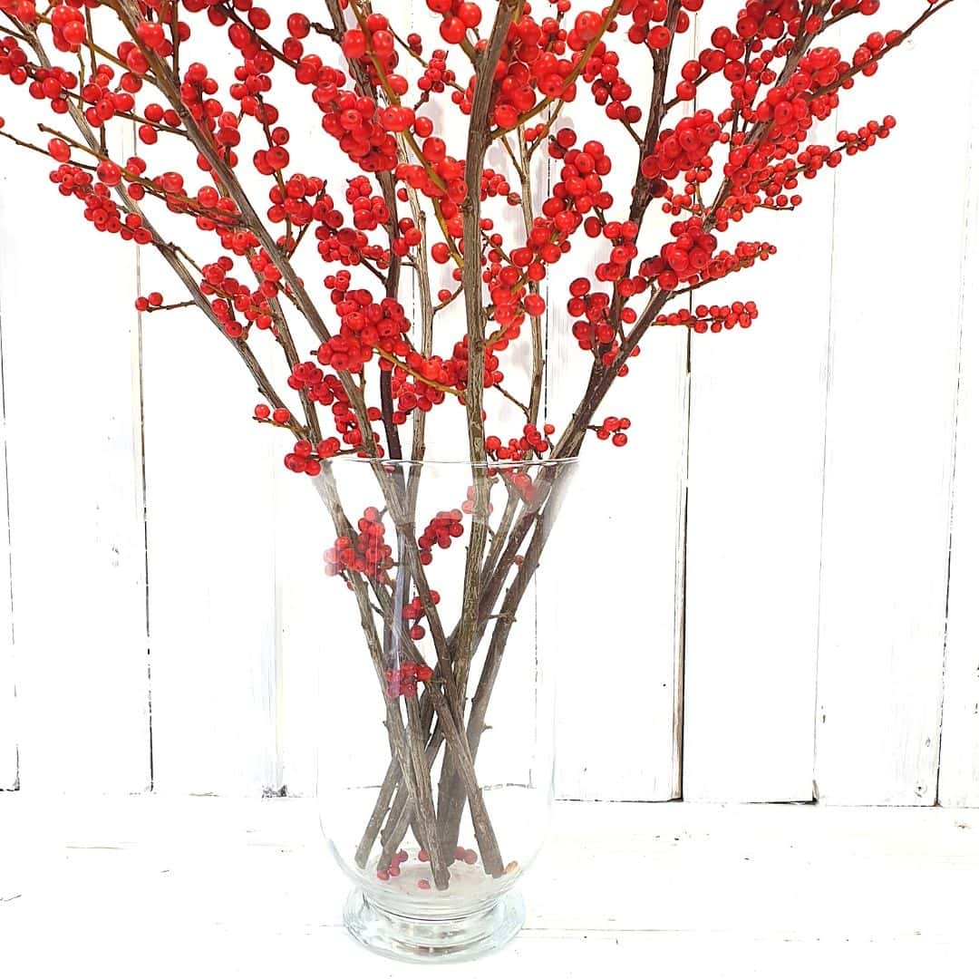 Red Berries Delight