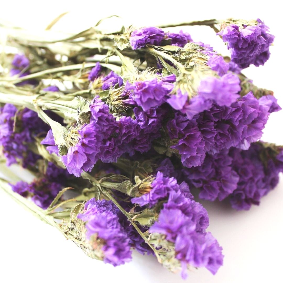 Dried Purple Statice The Hiden Collective