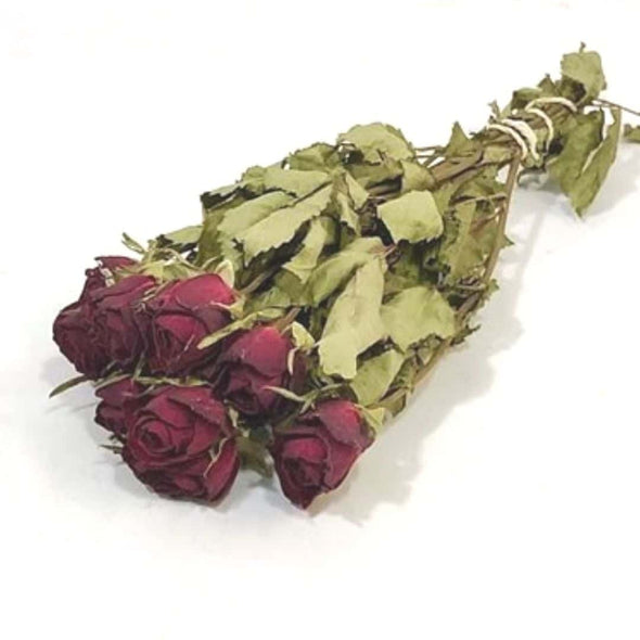 Dried Red Roses
