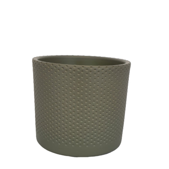The Spotty Plant Pot