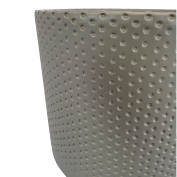 The Spotty Plant Pot