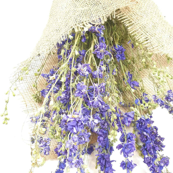Dried Blue Delphinium (Larkspur)