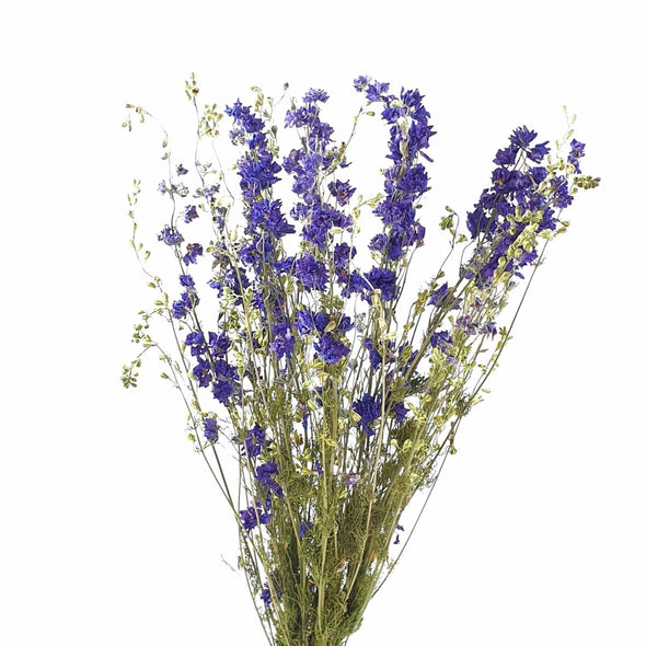Dried Blue Delphinium (Larkspur)