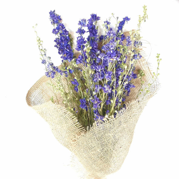 Dried Blue Delphinium (Larkspur)