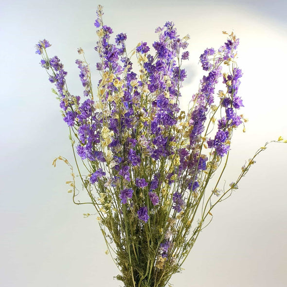 Lilac Delphinium (Larkspur)