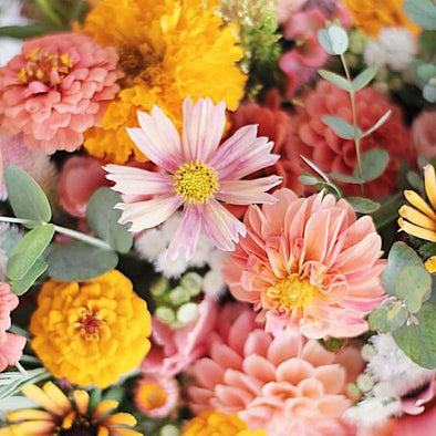 The Seasonal Selection Subscription