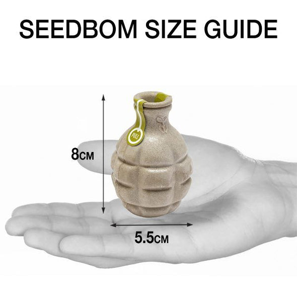 Butterflybom Seedbom